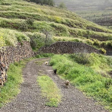 Bodega Linda * Puntagorda