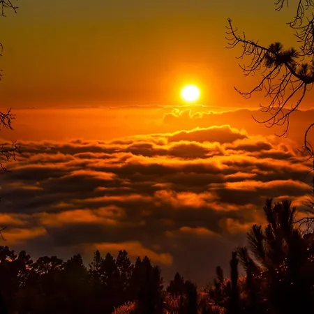 Bodega Linda Puntagorda