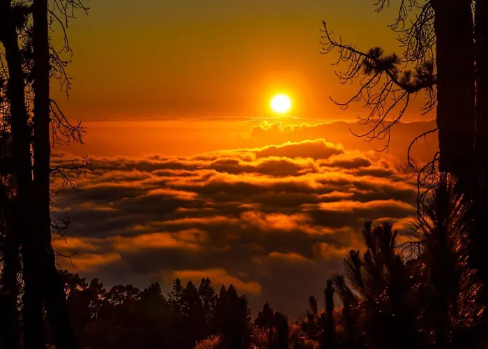 Bodega Linda Puntagorda
